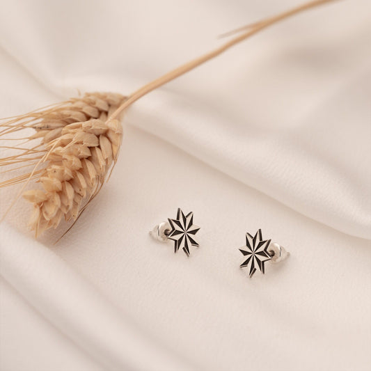 925 Sterling Silver Star Men's Earrings